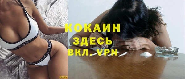гидра Краснослободск