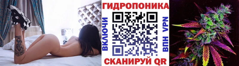 наркота  Покачи  Бошки Шишки семена 